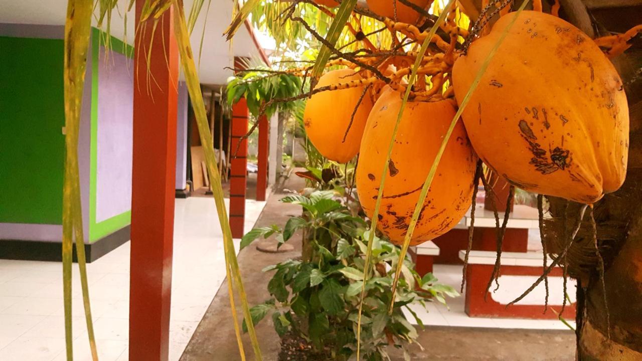 Hotel Segara Mandala Negara  Экстерьер фото